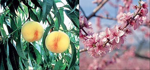 20251103-28ljn 20251103-28ljn