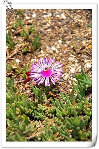 20251103-5t9ic 20251103-5t9ic