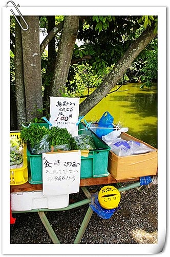 20251103-asv5u 20251103-asv5u