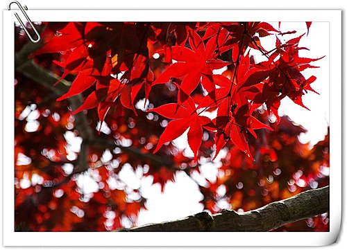 20251103-cyf9v 20251103-cyf9v