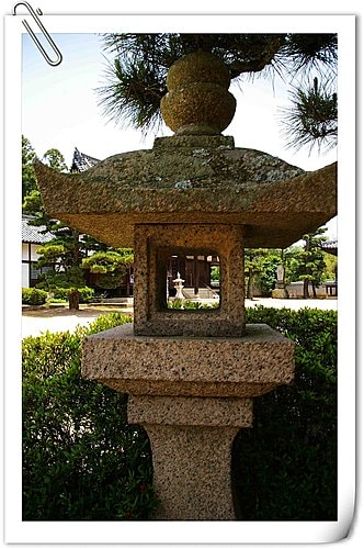 20251103-fhhyx 20251103-fhhyx