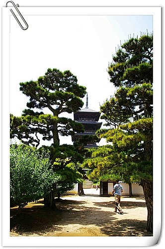 20251103-hje7t 20251103-hje7t