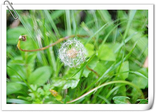 20251103-o553v 20251103-o553v