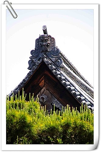 20251103-qn20u 20251103-qn20u