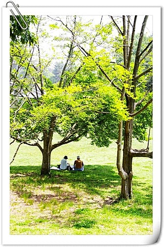 20251103-s1sjl 20251103-s1sjl