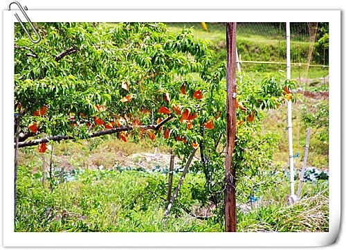 20251103-so7a9 20251103-so7a9