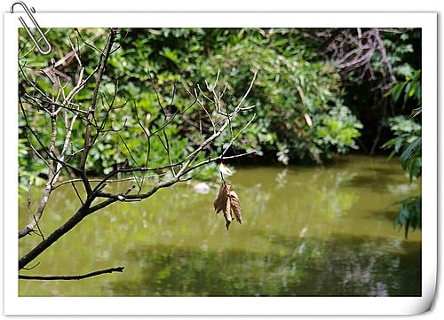 20251103-t2tqc 20251103-t2tqc