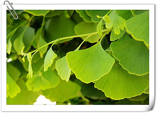 20251103-twxex 20251103-twxex