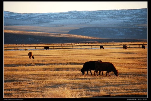 20251103-66ska 20251103-66ska