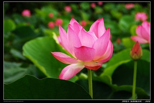 20251103-r46ck 20251103-r46ck