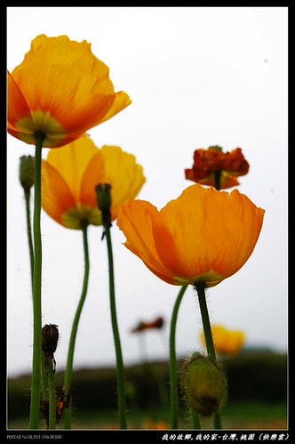 20251103-t9kso 20251103-t9kso