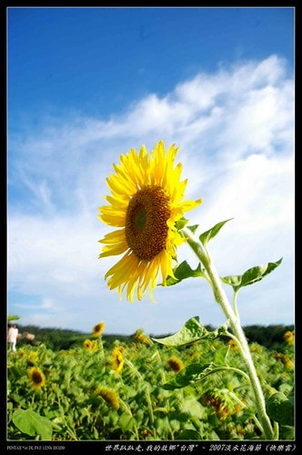 20251103-v0g8e 20251103-v0g8e