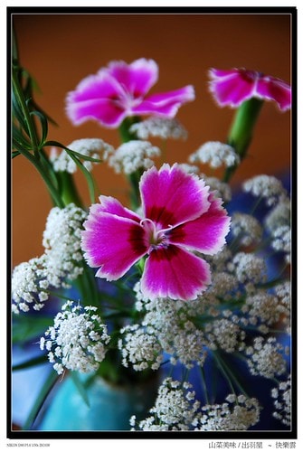 20251103-b6dad 20251103-b6dad