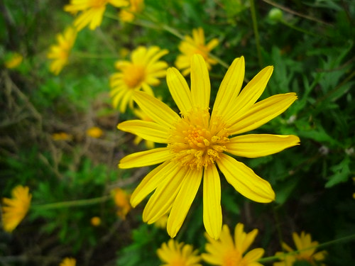 20251103-eif5v 20251103-eif5v