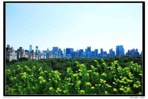 20251103-plbqn 20251103-plbqn