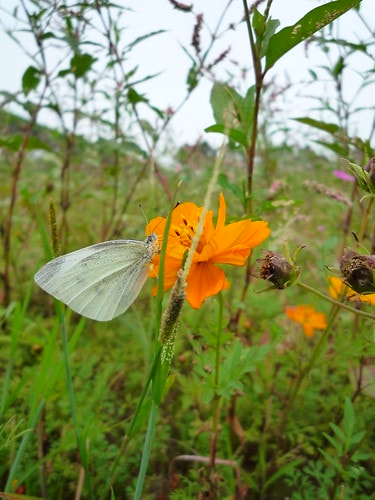 20251103-rb001 20251103-rb001