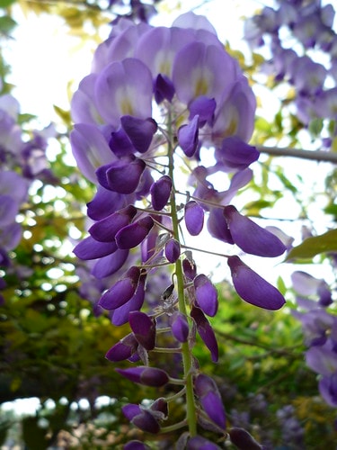 20251103-vz1eq 20251103-vz1eq