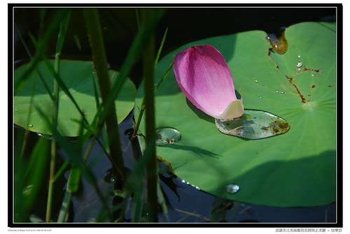 20251103-0td6q 20251103-0td6q