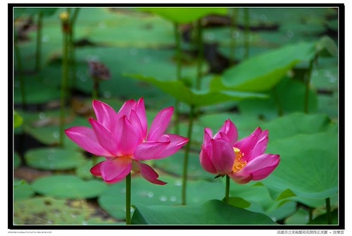 20251103-2psgi 20251103-2psgi