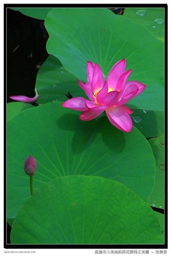 20251103-2xqqf 20251103-2xqqf