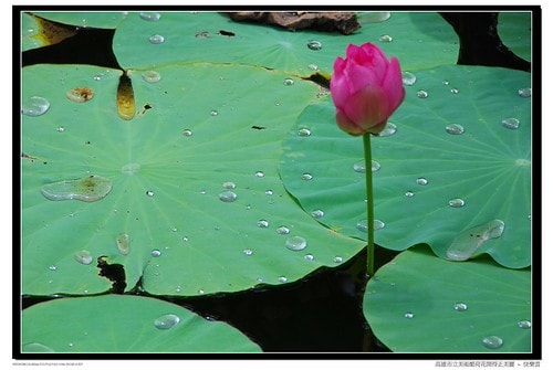 20251103-3drve 20251103-3drve