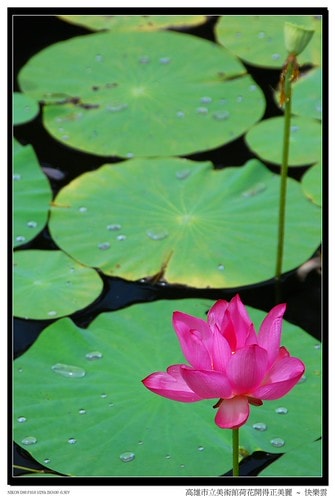 20251103-4390z 20251103-4390z