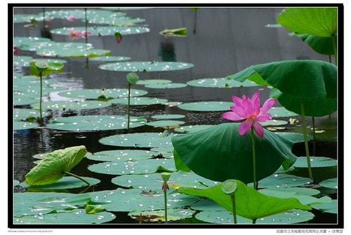 20251103-71a7v 20251103-71a7v