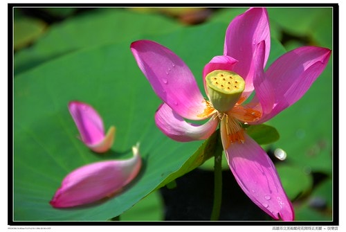 20251103-80jwz 20251103-80jwz