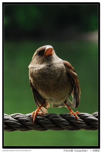 20251103-bbayt 20251103-bbayt