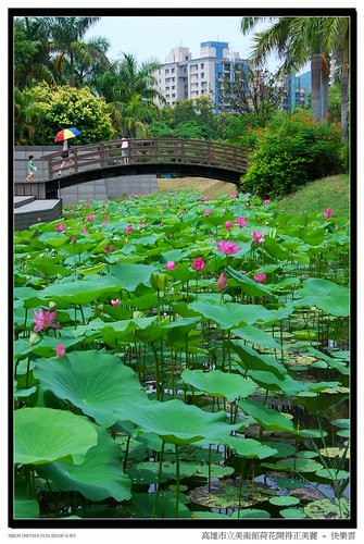 20251103-dge23 20251103-dge23