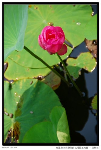 20251103-j8p6q 20251103-j8p6q