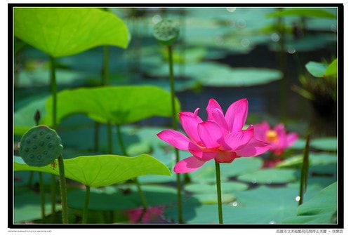 20251103-mxg8d 20251103-mxg8d