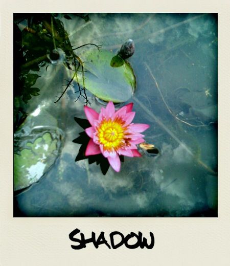 20251103-nrj7g 20251103-nrj7g