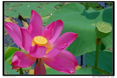 20251103-orm6m 20251103-orm6m