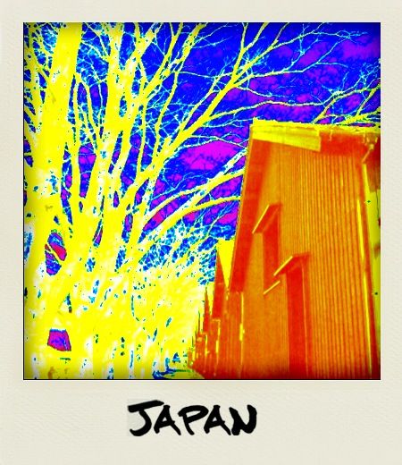 20251103-qrn5q 20251103-qrn5q