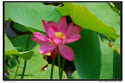 20251103-su6su 20251103-su6su