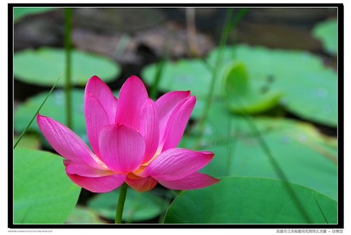 20251103-t8lql 20251103-t8lql