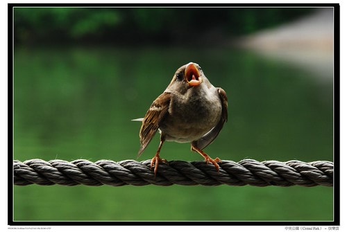 20251103-tk02a 20251103-tk02a