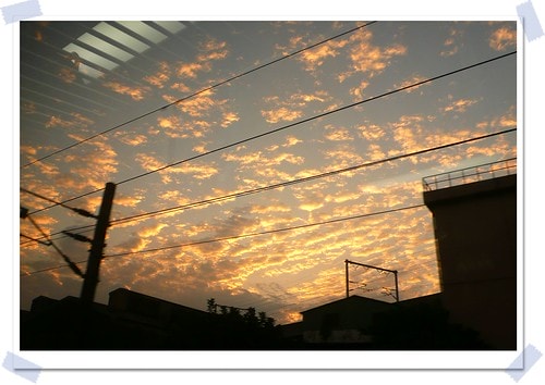 20251103-tqu2x 20251103-tqu2x