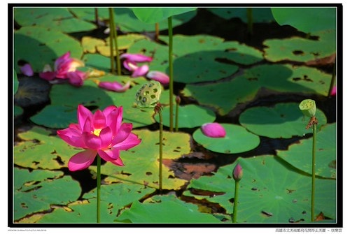 20251103-v8owc 20251103-v8owc