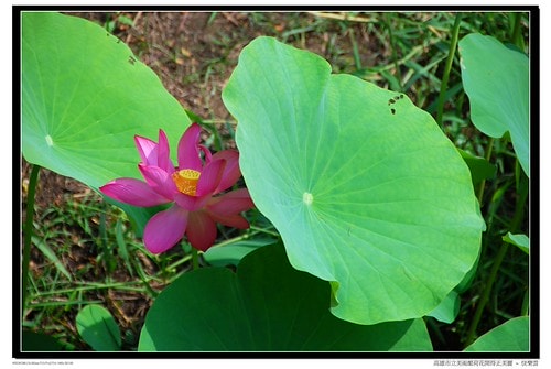 20251103-xh2yn 20251103-xh2yn