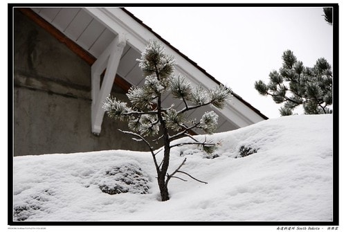 20251103-1yrpk 20251103-1yrpk