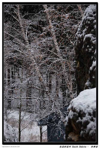 20251103-4zpwd 20251103-4zpwd