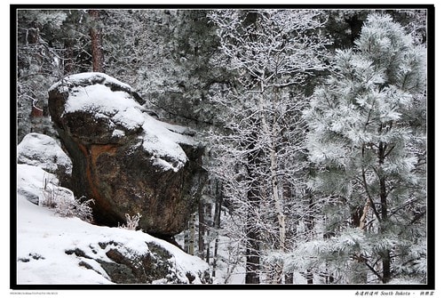 20251103-80lw1 20251103-80lw1