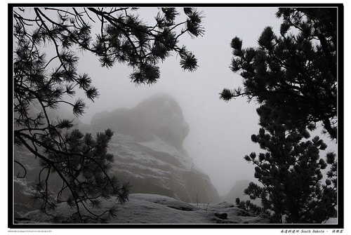 20251103-p0cw8 20251103-p0cw8