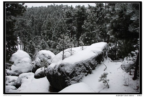 20251103-q1a82 20251103-q1a82