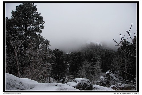 20251103-ss8n0 20251103-ss8n0