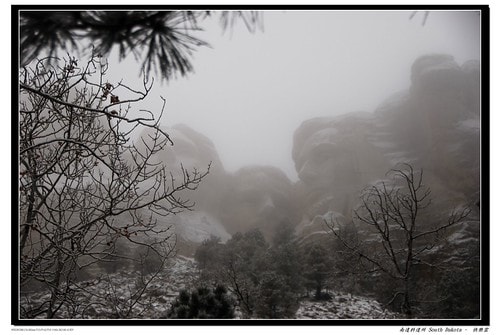 20251103-w6uu8 20251103-w6uu8