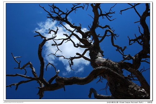 20251103-0brp1 20251103-0brp1