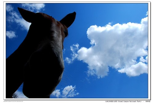 20251103-0kzfy 20251103-0kzfy